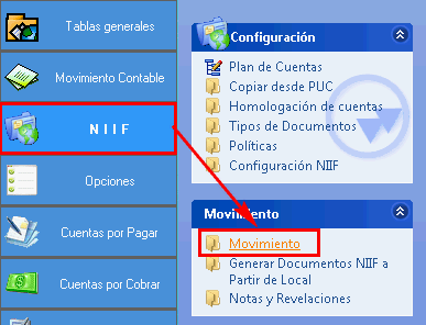 Movimientos niif1.png